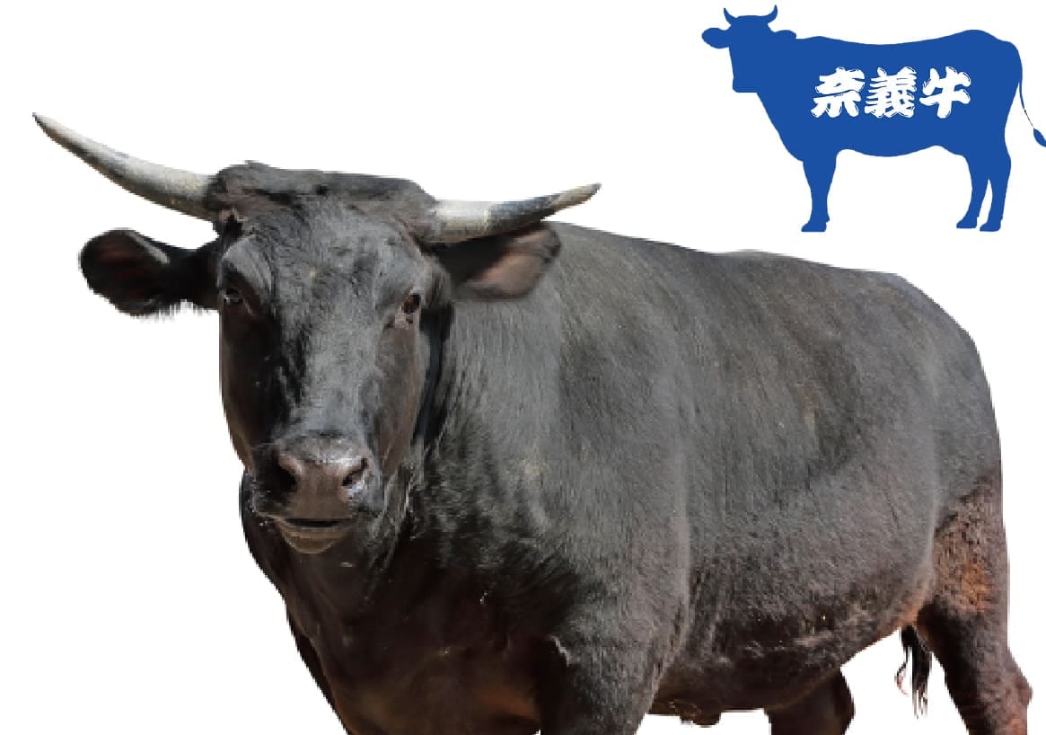 奈義牛